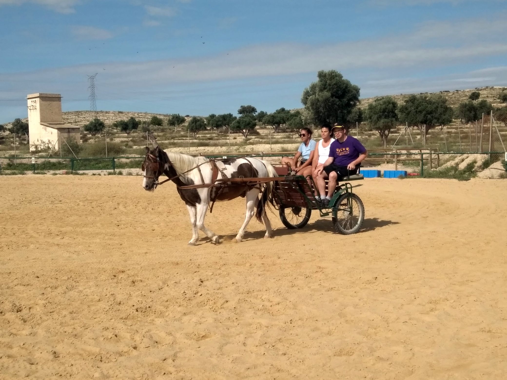 27/09/2019 Caballos 002