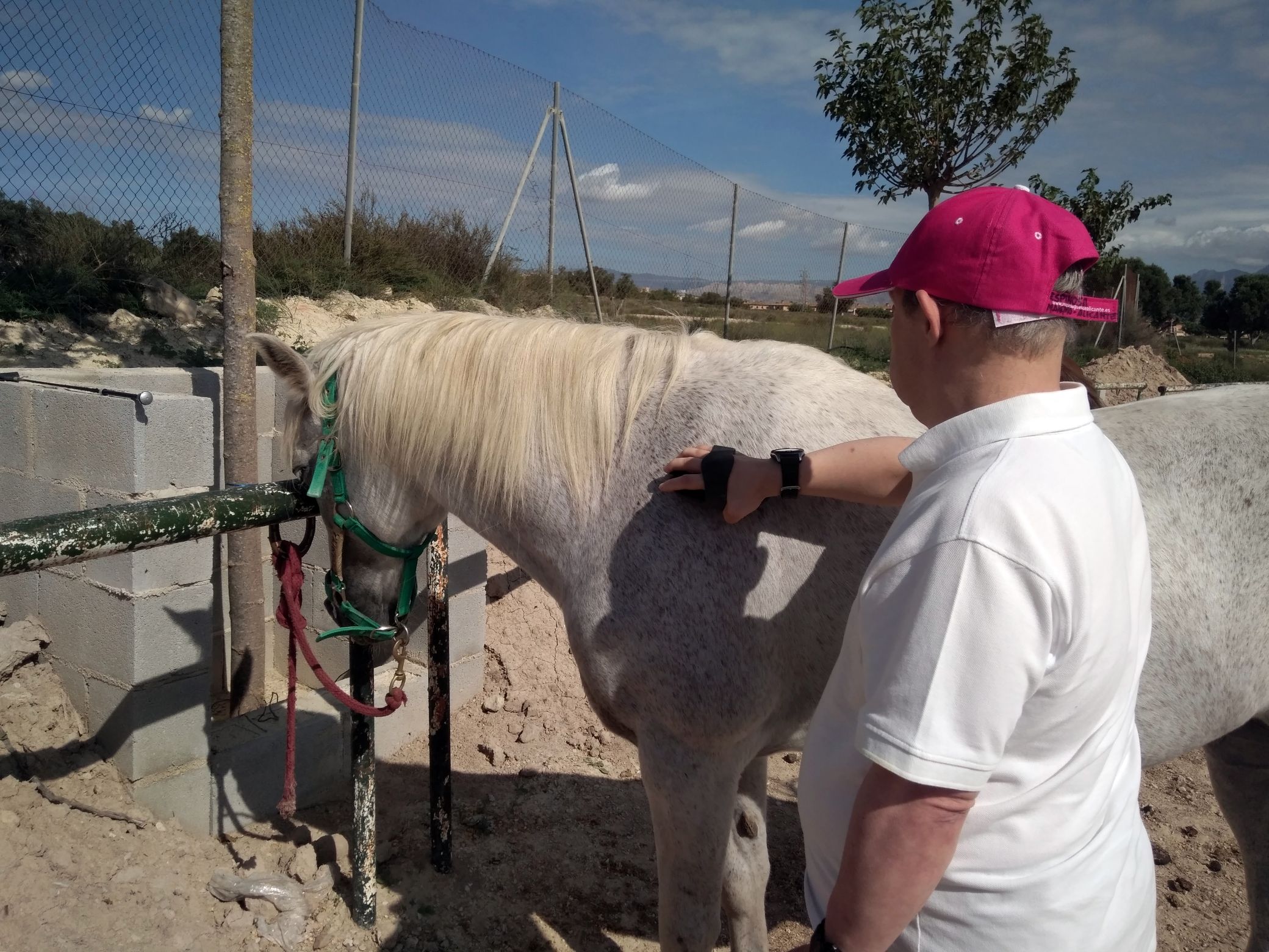 27/09/2019 Caballos 003
